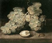 ES, Jacob van Grape with Walnut d Norge oil painting reproduction